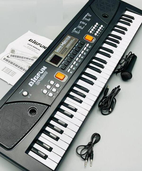 Portable Electronic Keyboard (61 Keys)
